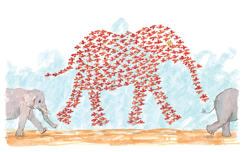 01Hello My Name is Ruby 16-17