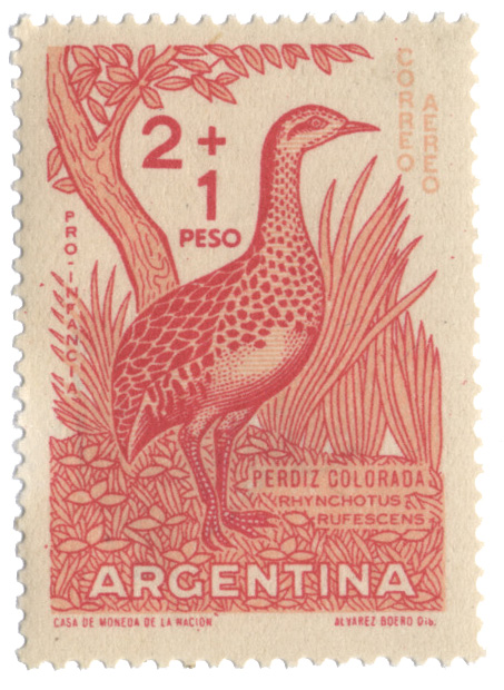 BIRDArgentina