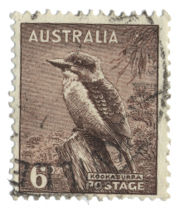 1BirdAustralia